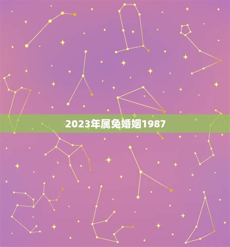 2025兔年運程1987|属兔1987年出生的人2025年全年运程运势